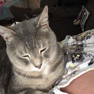 Meet your Posher, Denise